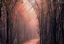 玩股票用什么app好:配资公司排行口碑-胖东来招聘900人 保安保洁要求“不超25岁+本科” 求职者：根本进不去